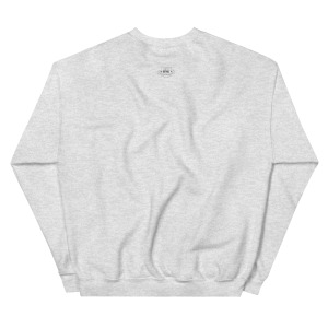 unisex-crew-neck-sweatshirt-ash-back-679c2b031ebe9.jpg