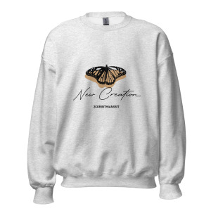 unisex-crew-neck-sweatshirt-ash-front-679c2b030e574.jpg