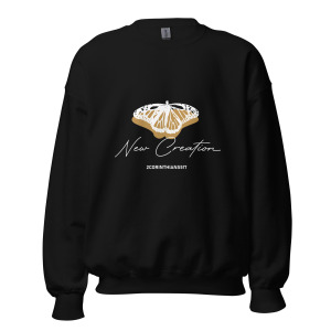 unisex-crew-neck-sweatshirt-black-front-679c256f61356.jpg