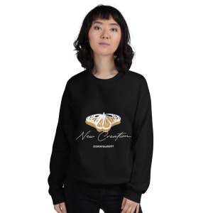 unisex-crew-neck-sweatshirt-black-front-679c256f61b64.jpg