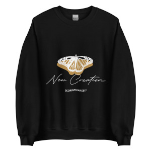 unisex-crew-neck-sweatshirt-black-front-679c256f6890f.jpg