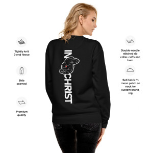 unisex-premium-sweatshirt-black-back-679c2c6236b4e.jpg