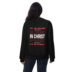unisex-premium-sweatshirt-black-back-679c2df6cece3.jpg