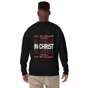 unisex-premium-sweatshirt-black-back-679c2df6d1883.jpg