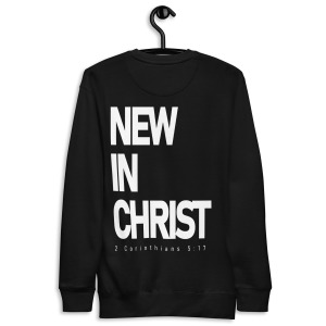 unisex-premium-sweatshirt-black-back-679d19e8338ac.jpg