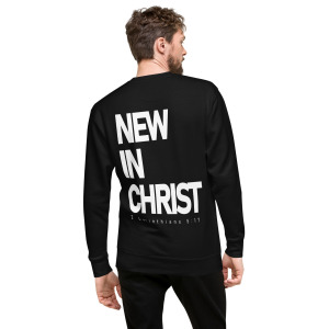 unisex-premium-sweatshirt-black-back-679d19e839c1f.jpg