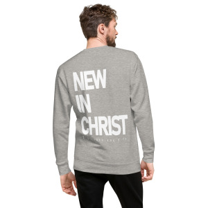 unisex-premium-sweatshirt-carbon-grey-back-679d19e834447.jpg