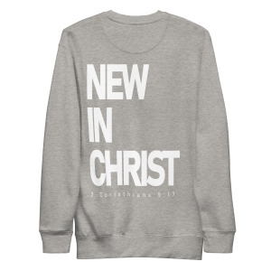 unisex-premium-sweatshirt-carbon-grey-back-679d19e836892.jpg