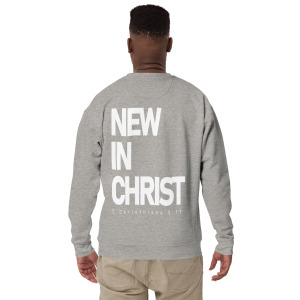 unisex-premium-sweatshirt-carbon-grey-back-679d19e837e9d.jpg