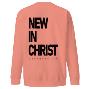 unisex-premium-sweatshirt-dusty-rose-back-679d1bc817139.jpg