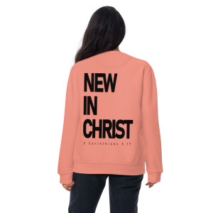 unisex-premium-sweatshirt-dusty-rose-back-679d1bc817b37.jpg