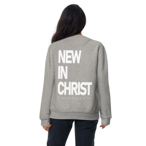 unisex-premium-sweatshirt-carbon-grey-back-679fb1cfdddec.jpg