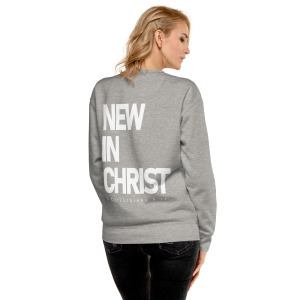 unisex-premium-sweatshirt-carbon-grey-back-679fb1cfe2f67.jpg