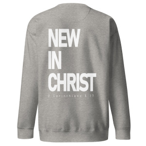 unisex-premium-sweatshirt-carbon-grey-back-679fb1cfe8c9b.jpg