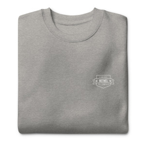 unisex-premium-sweatshirt-carbon-grey-front-679fb1cfe771c.jpg