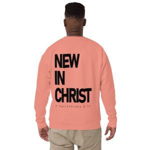 unisex-premium-sweatshirt-dusty-rose-back-679fb0cd58074.jpg