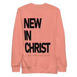 unisex-premium-sweatshirt-dusty-rose-back-679fb0cd58b46.jpg