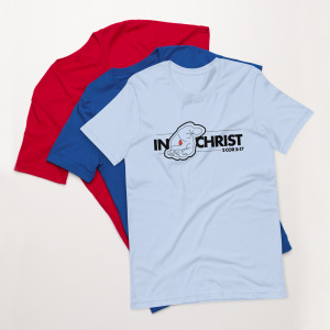 unisex-staple-t-shirt-baby-blue-front-67a4f61a09ad5.jpg