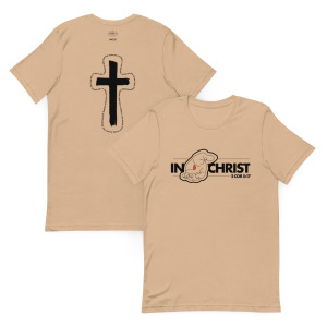 unisex-staple-t-shirt-tan-front-and-back-67a4f61a01e52.jpg