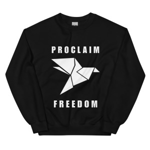 unisex-crew-neck-sweatshirt-black-front-68c841c4c1629.jpg