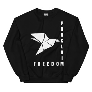 unisex-crew-neck-sweatshirt-black-front-68c847f6afc2c.jpg