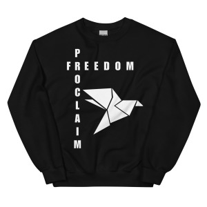 unisex-crew-neck-sweatshirt-black-front-68c86e745cf7e.jpg