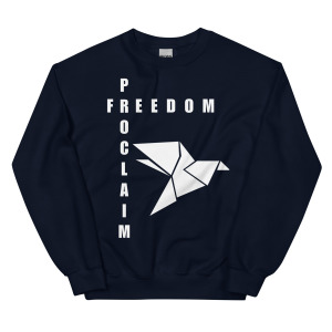 unisex-crew-neck-sweatshirt-navy-front-68c86e745e637.jpg