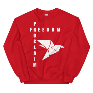 unisex-crew-neck-sweatshirt-red-front-68c86e746d6f8.jpg
