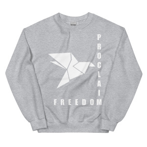 unisex-crew-neck-sweatshirt-sport-grey-front-68c847f6f264d.jpg