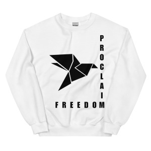 unisex-crew-neck-sweatshirt-white-front-68c84e4d14ded.jpg