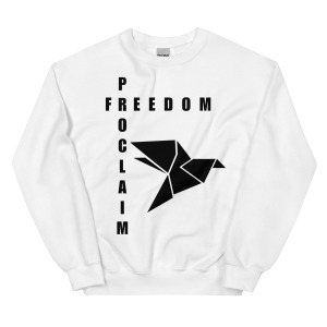 unisex-crew-neck-sweatshirt-white-front-68c8514f53d8c.jpg