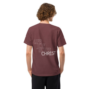 unisex-oversized-garment-dyed-t-shirt-washed-maroon-back-698cee58441f5.jpg