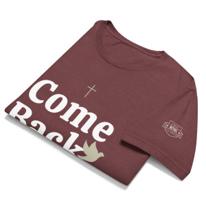 unisex-oversized-garment-dyed-t-shirt-washed-maroon-front-698f80f381900.jpg