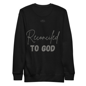 unisex-premium-sweatshirt-black-back-698cbcb101c24.jpg