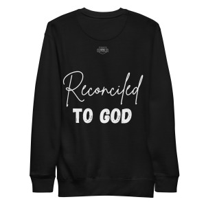 unisex-premium-sweatshirt-black-back-698cc287090d7.jpg