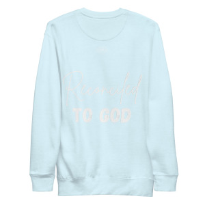 unisex-premium-sweatshirt-sky-blue-back-698cc2871bdb4.jpg