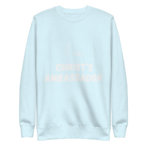 unisex-premium-sweatshirt-sky-blue-front-698cc287185e0.jpg