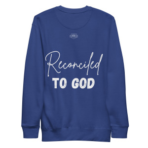 unisex-premium-sweatshirt-team-royal-back-698cc2870ff7a.jpg