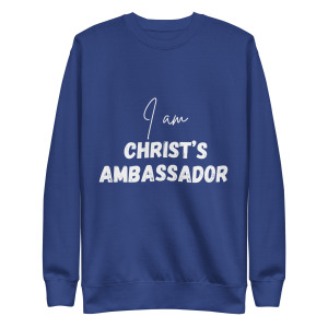 unisex-premium-sweatshirt-team-royal-front-698cc2870c372.jpg