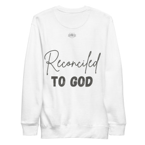 unisex-premium-sweatshirt-white-back-698cbcb10705d.jpg